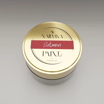PAINTment Salmon